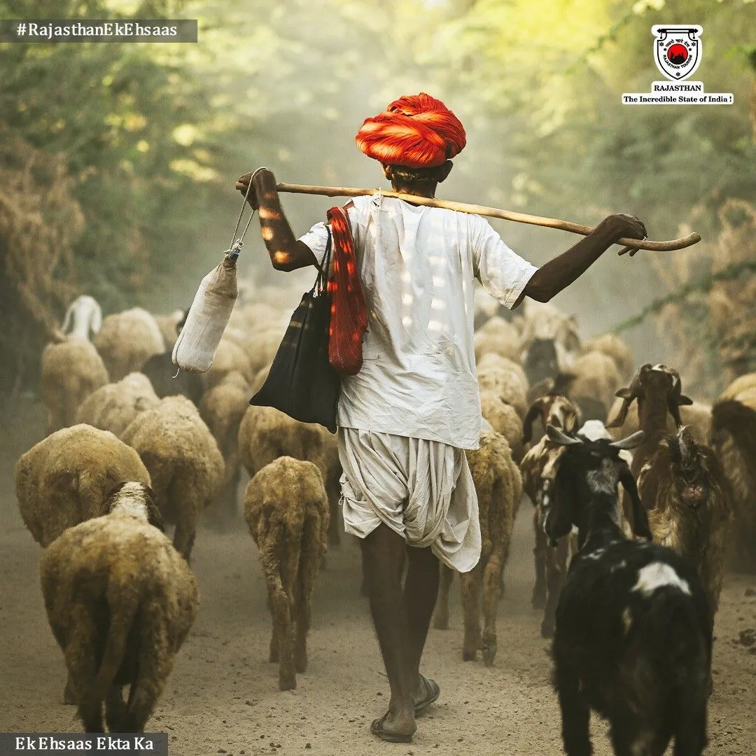 Village goats